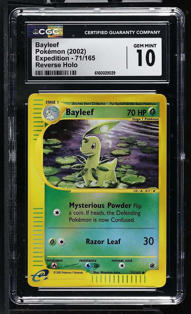 Bayleef