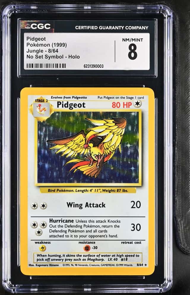 Pidgeot