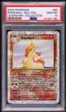 Rapidash