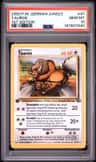 Tauros