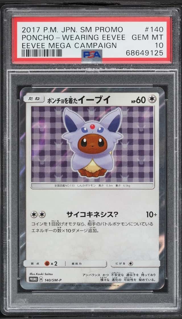 Poncho-Wearing Eevee