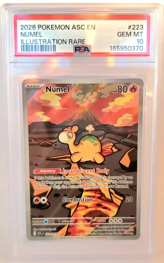 Numel