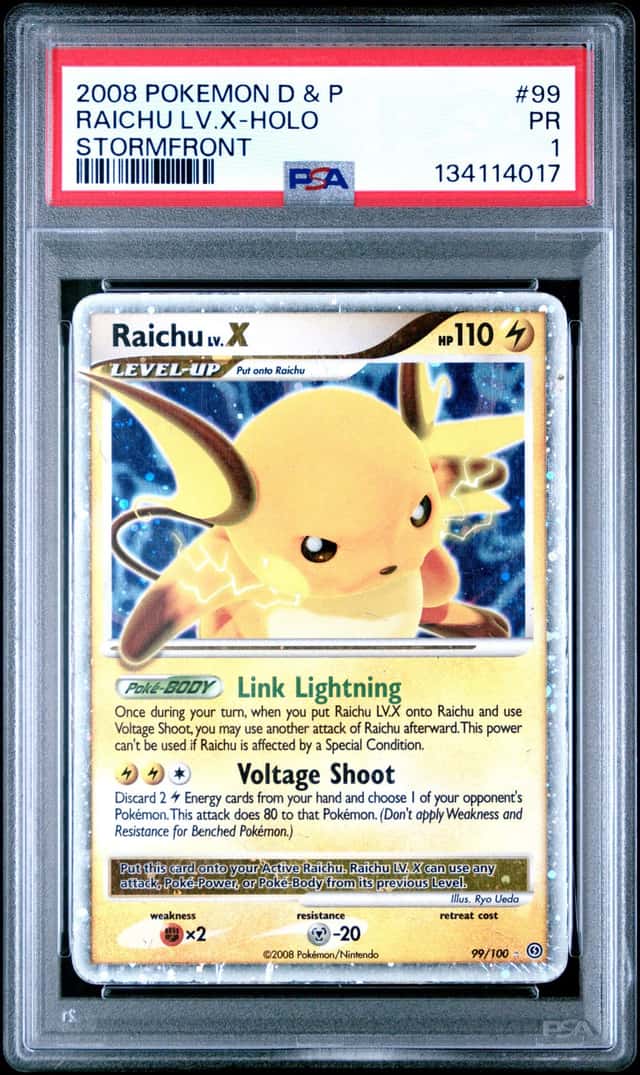 Raichu Lv X