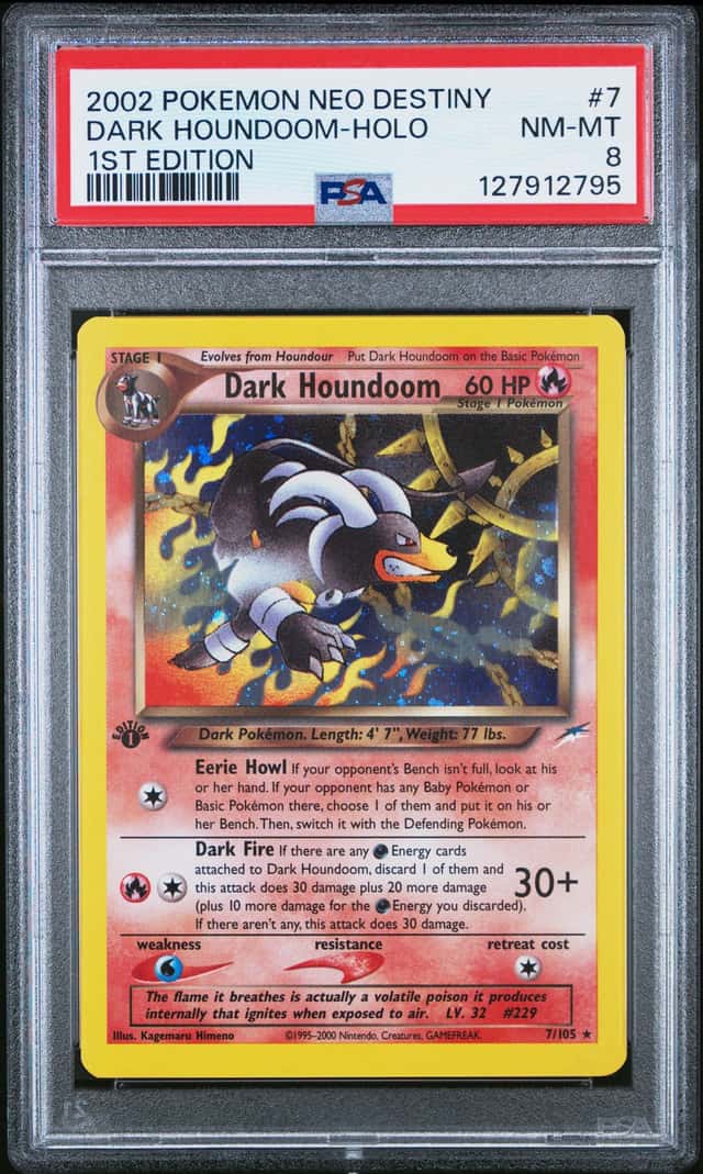 DARK HOUNDoom