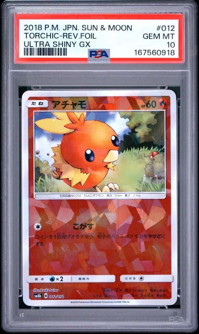 Torchic