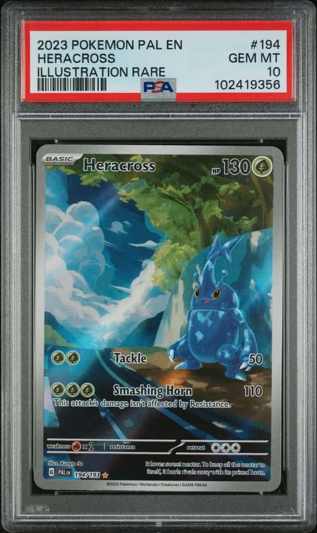 Heracross