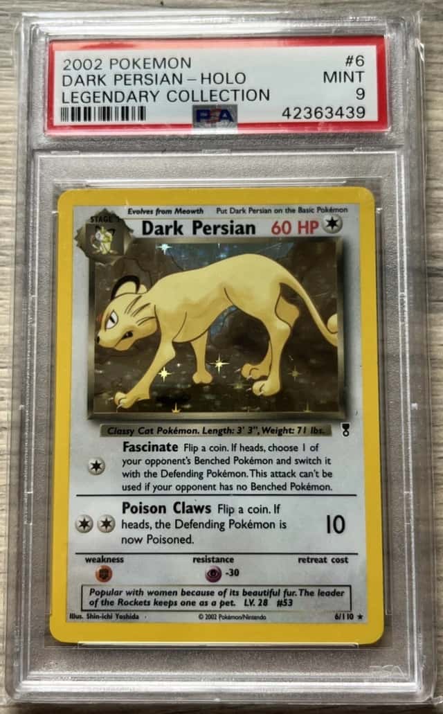Dark Persian