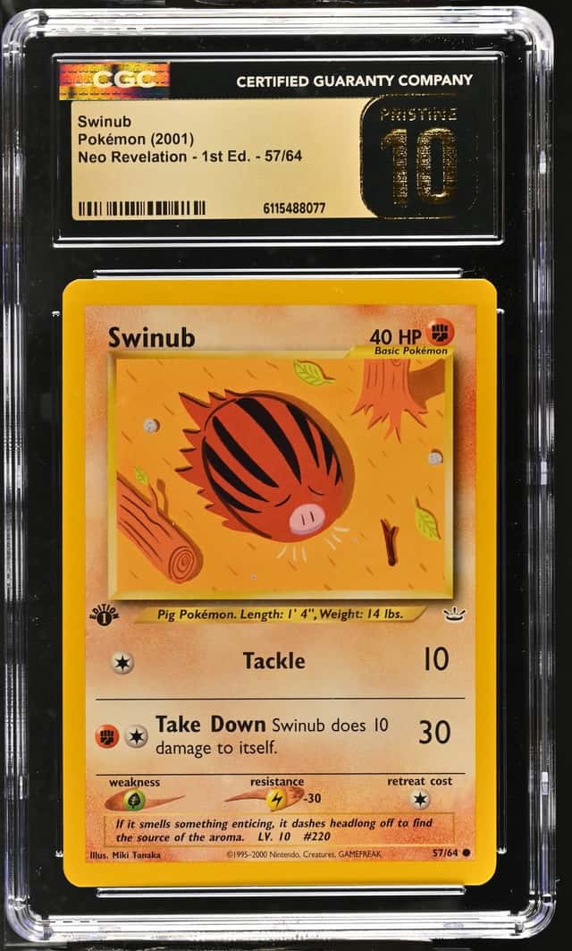 Swinub