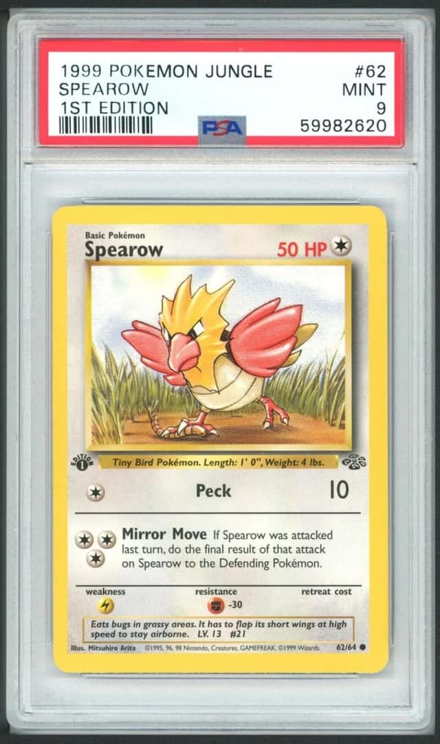 Spearow