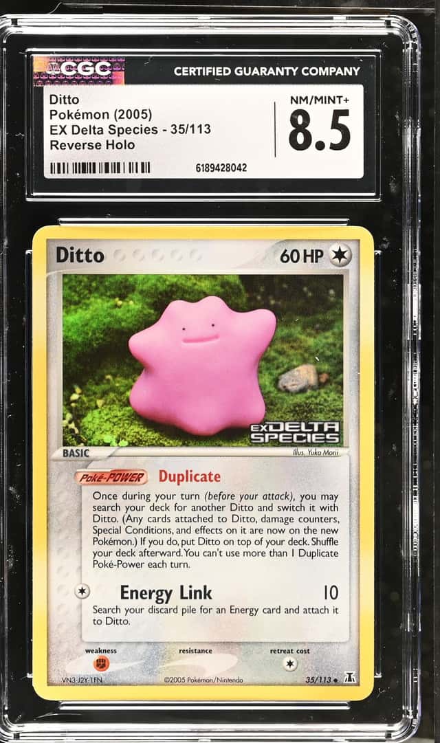 Ditto