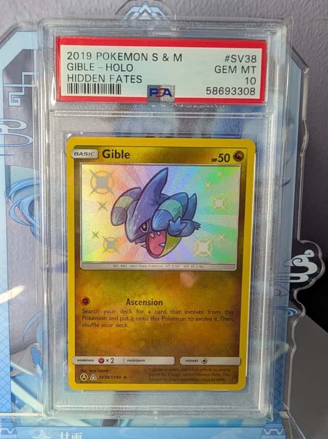 Gible