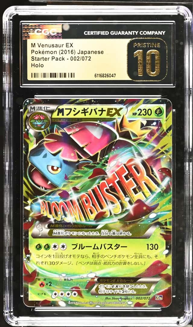 M Venusaur EX