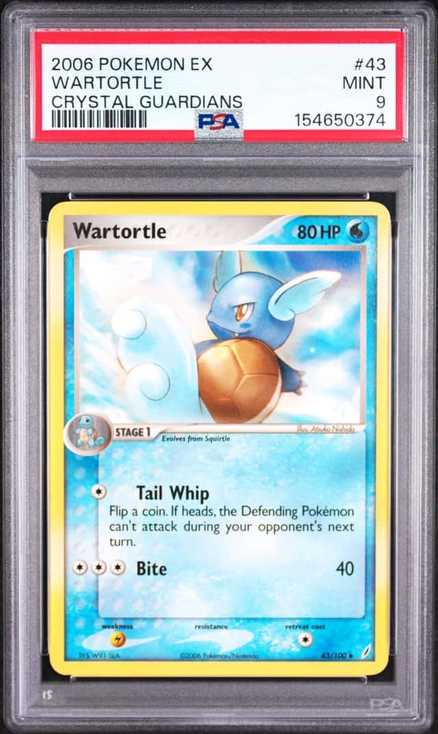 Wartortle