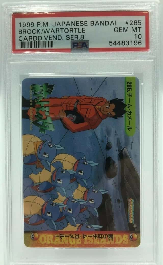 CPT.AIDAN/WARTORTLE