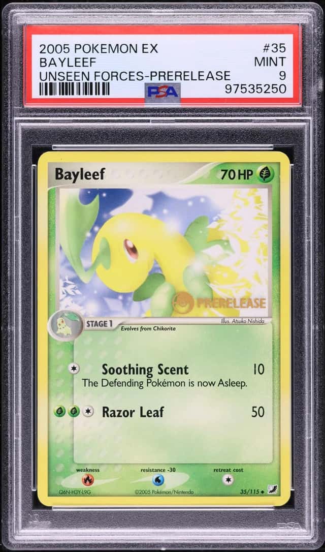 Bayleef