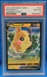 Morpeko V