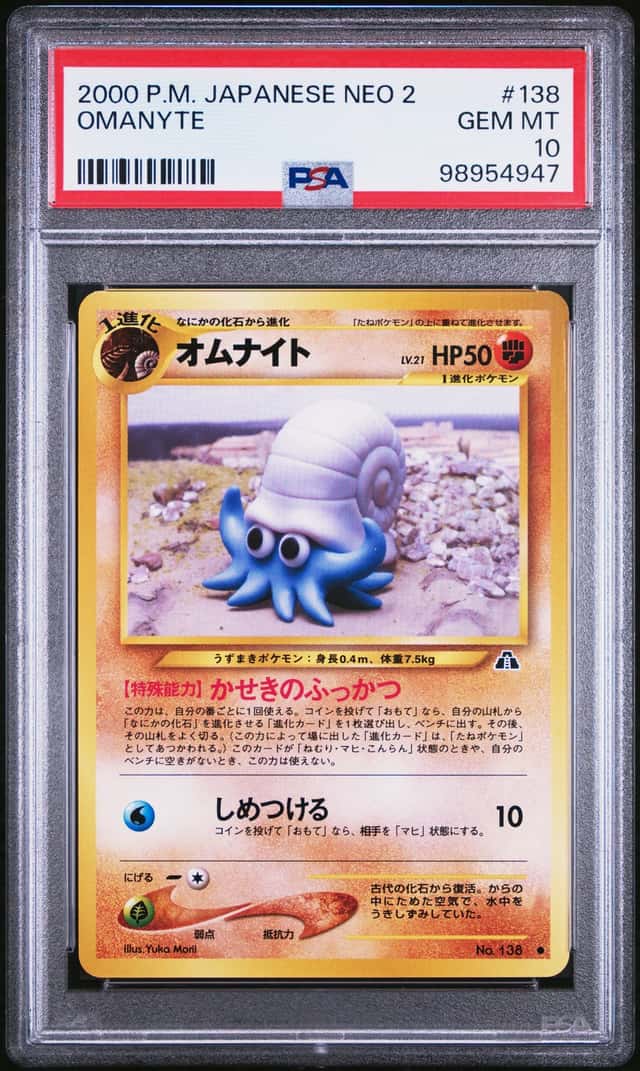 Omanyte