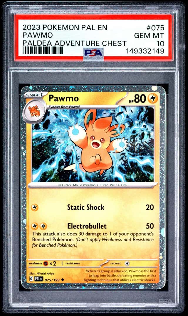Pawmo