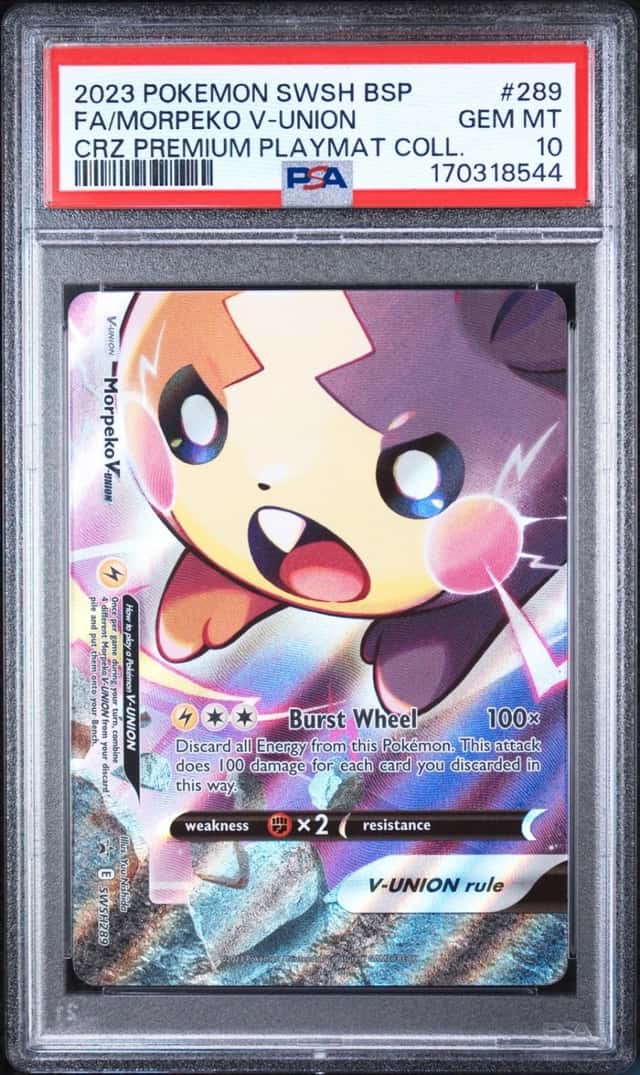 Morpeko V-Union