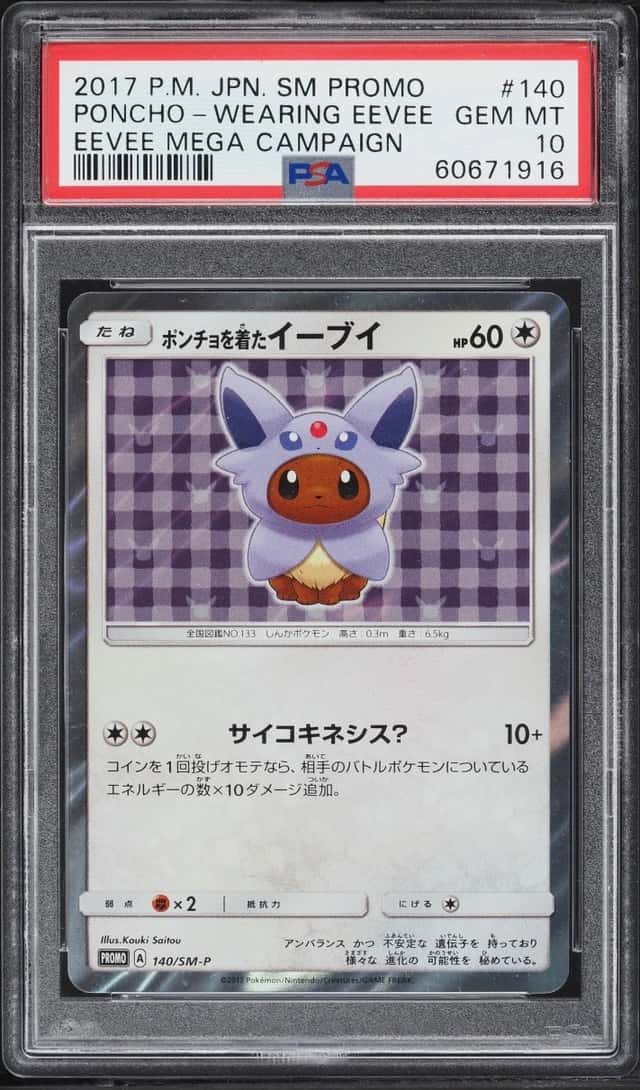 Poncho-Wearing Eevee