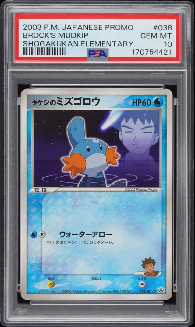 Brock's Mudkip