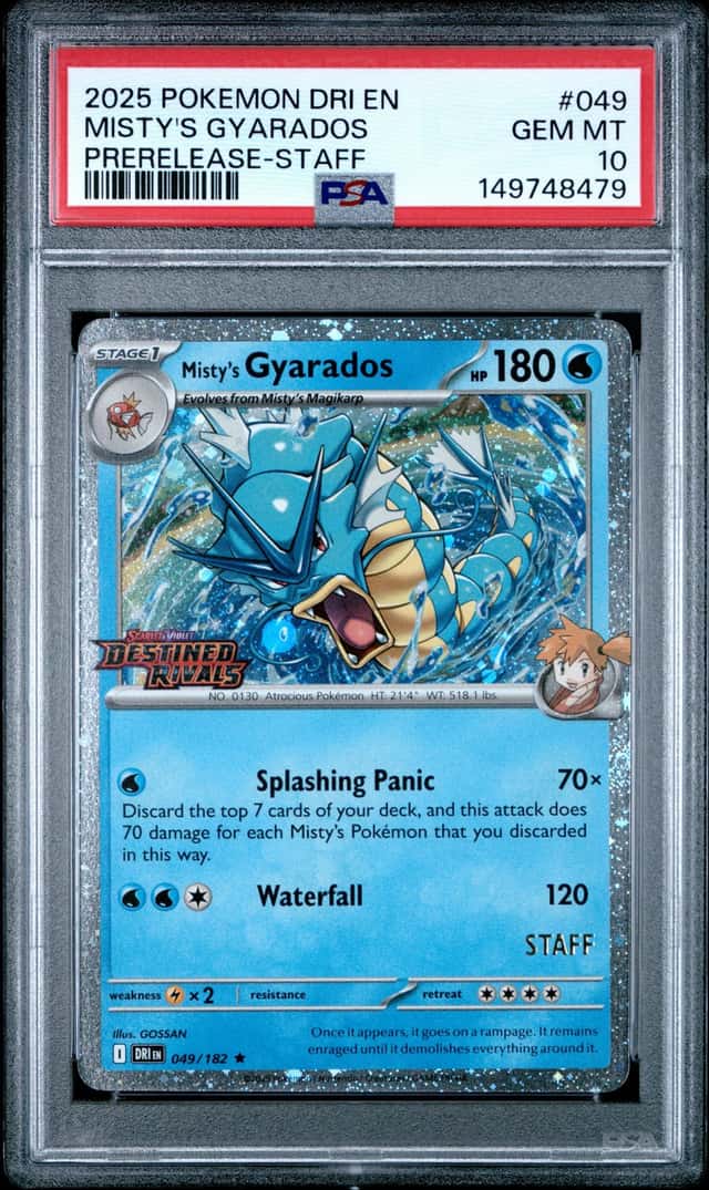 Misty's Gyarados