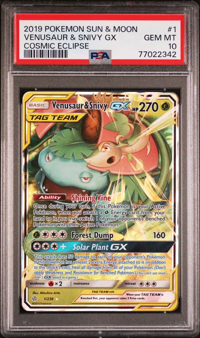Venusaur & Snivy GX