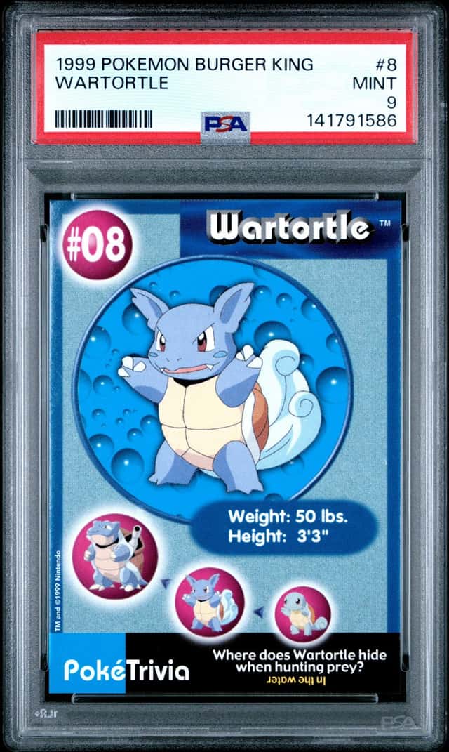 Wartortle