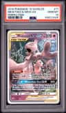 Mewtwo & Mew Gx