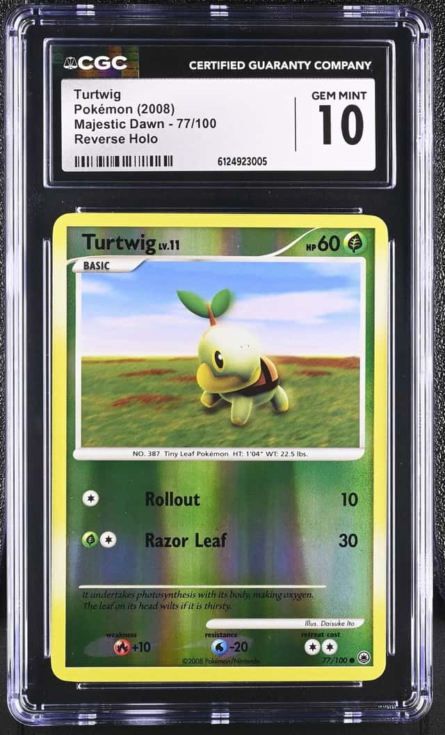Turtwig