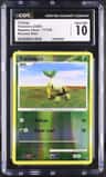 Turtwig
