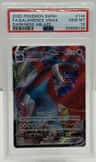 Salamence Vmax