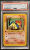 Cyndaquil