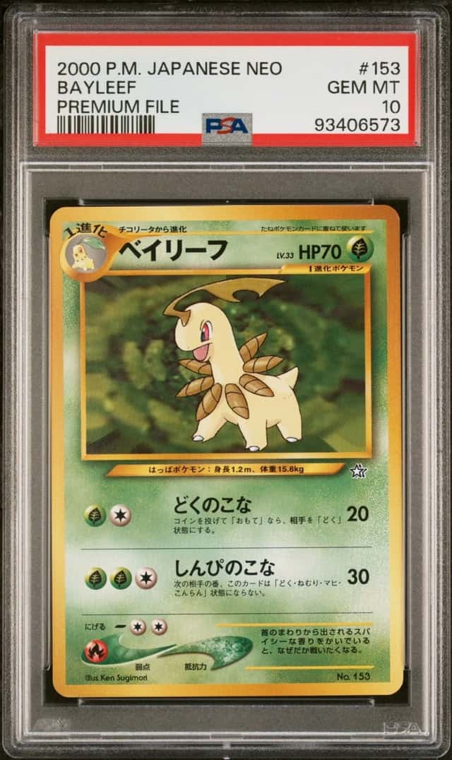 Bayleef
