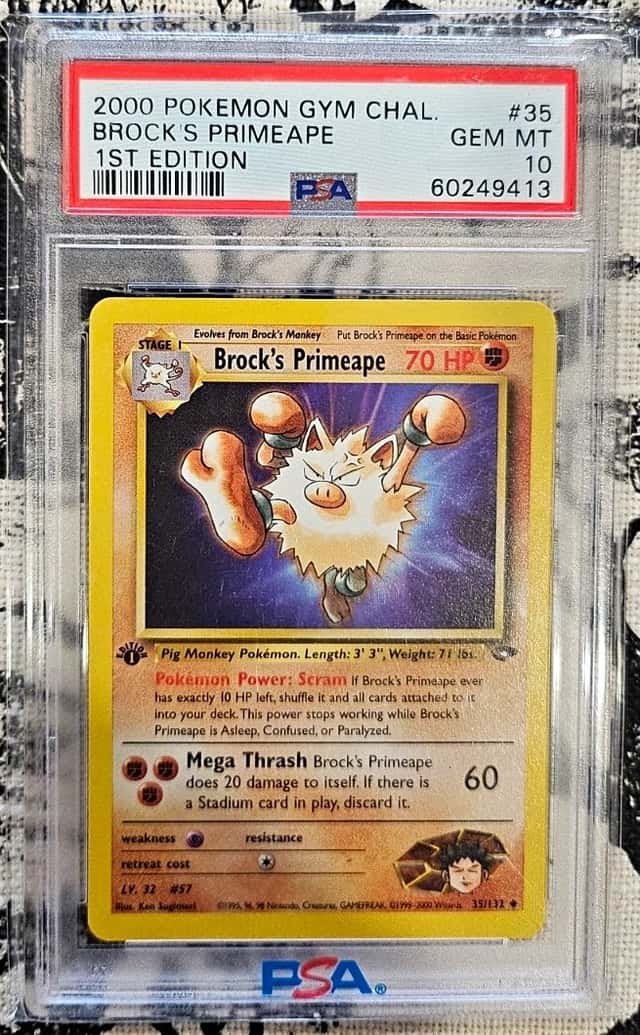 Brock's Primeape
