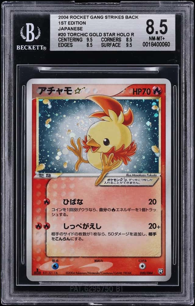 Torchic