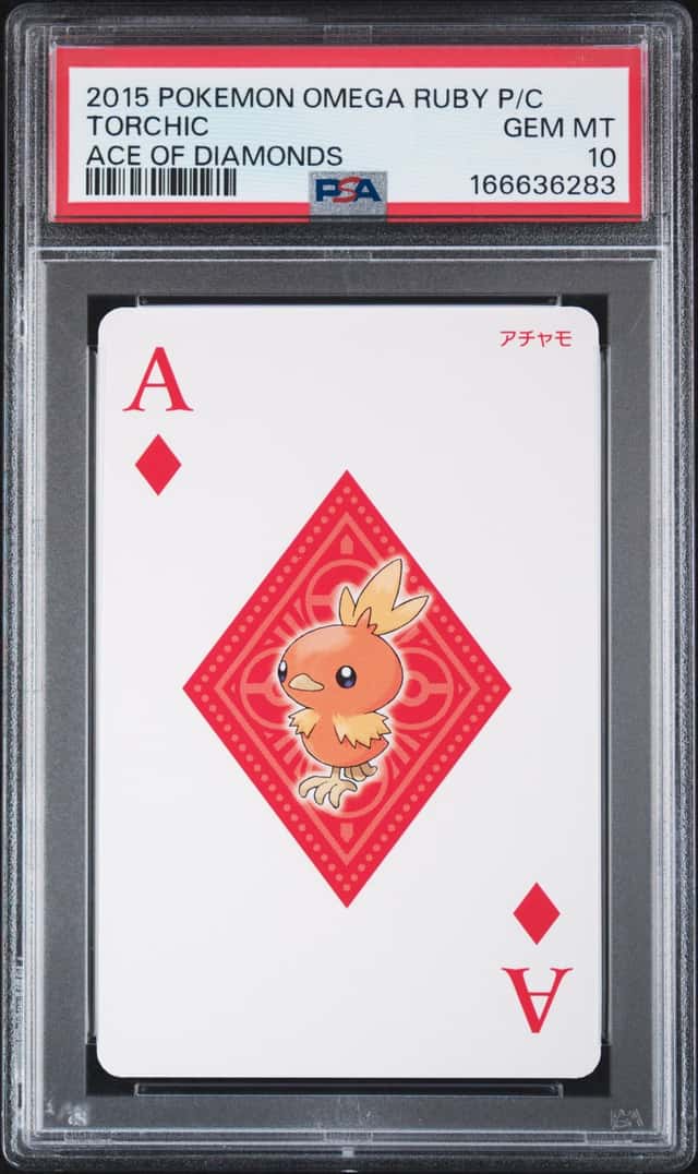Torchic