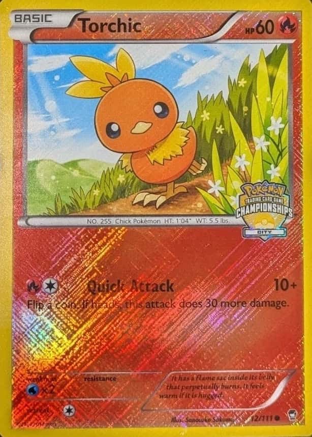 Holo · Championships City Crosshatch Staff