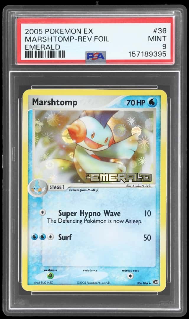 Marshtomp
