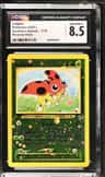 Ledyba