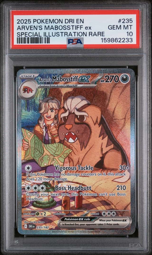 ARVEN'S MABOSSTIFF ex