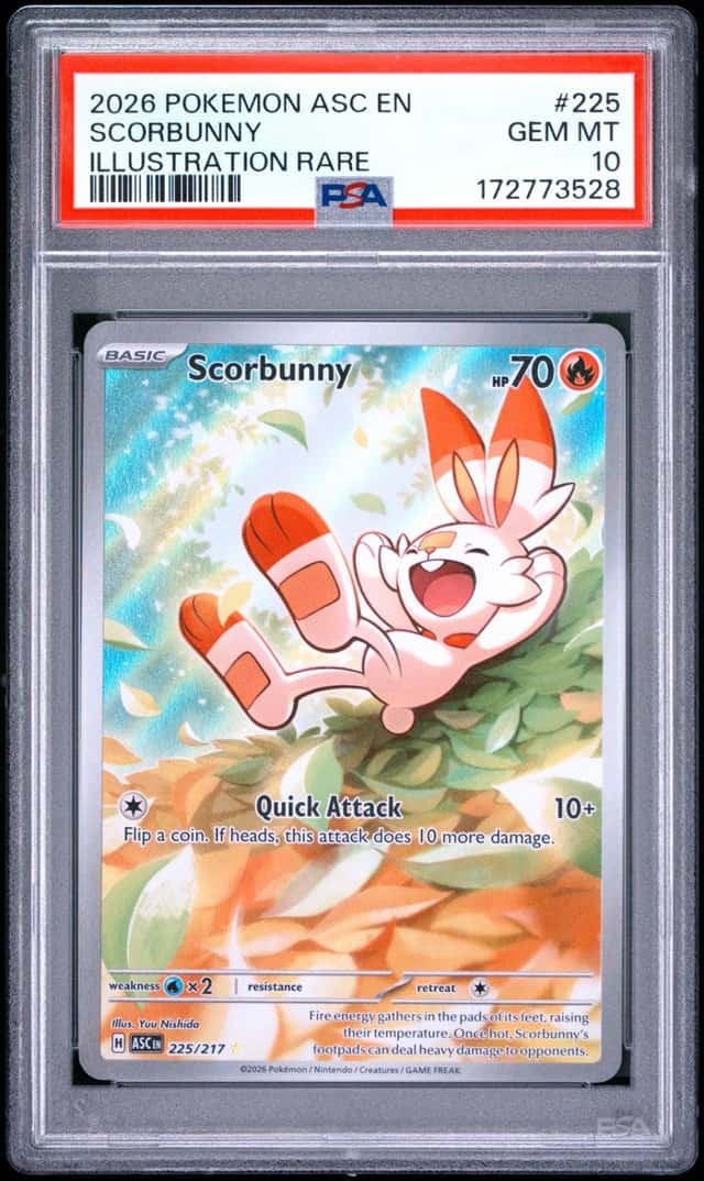 Scorbunny