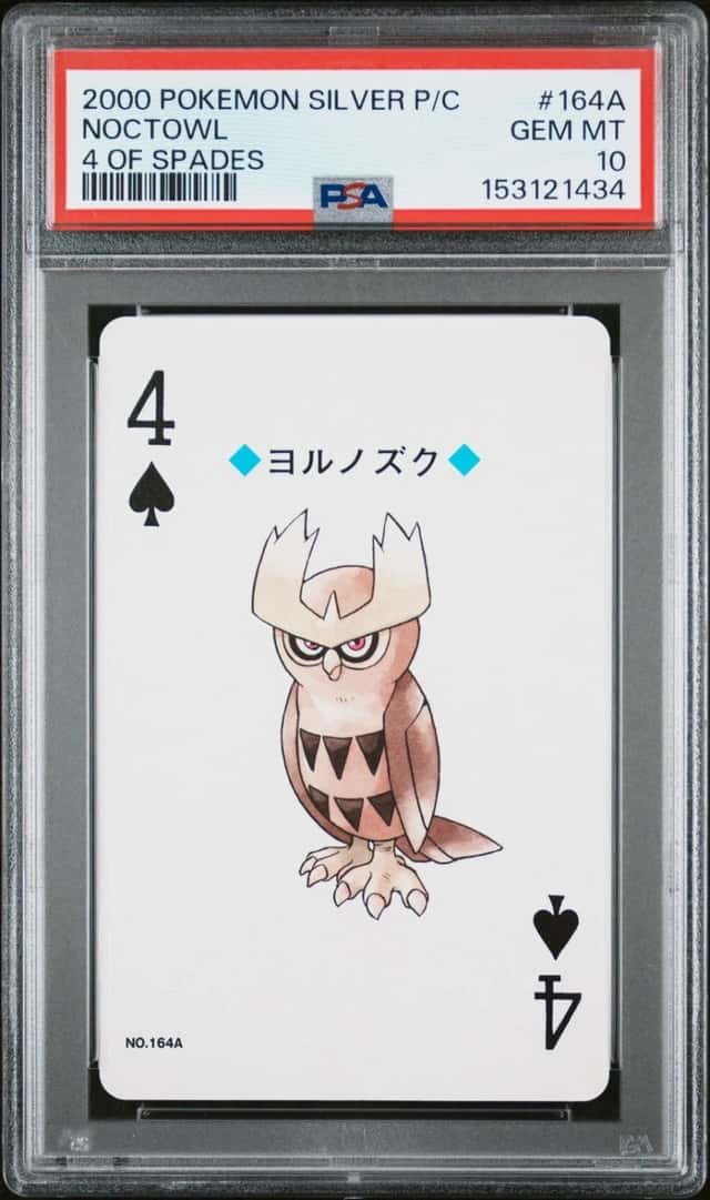 Noctowl