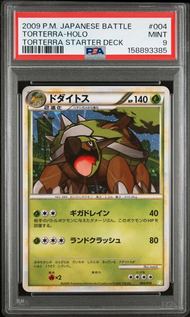Torterra