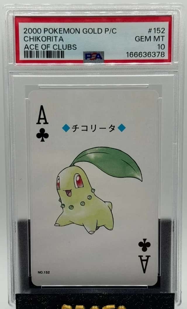 Chikorita