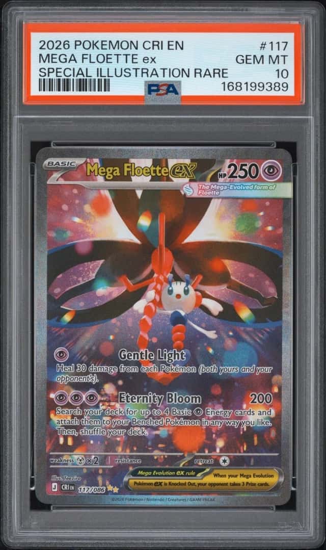 MEGA FLOETTE ex