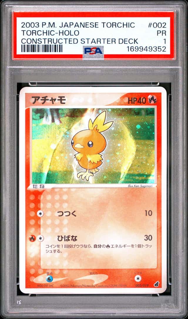 Torchic