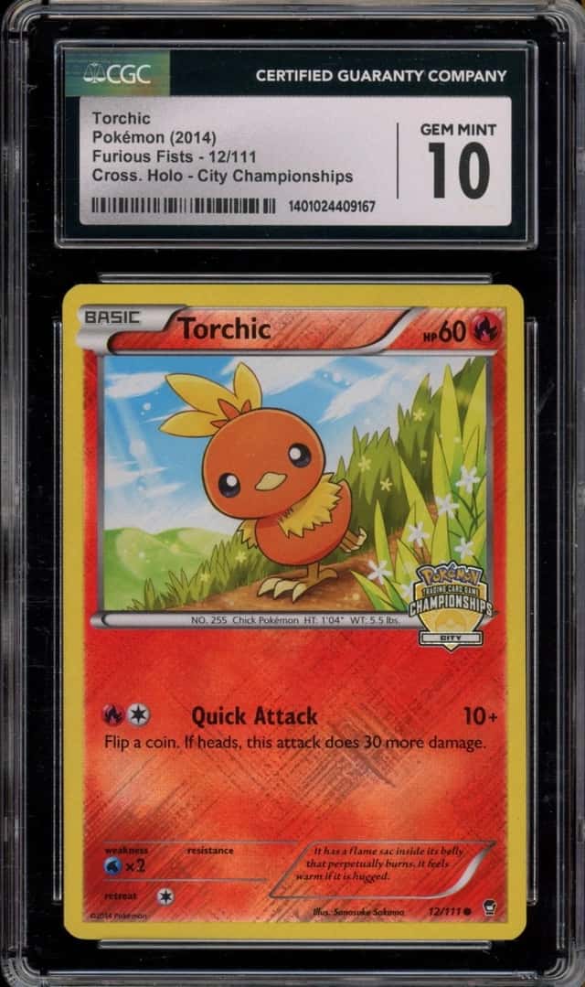 Torchic
