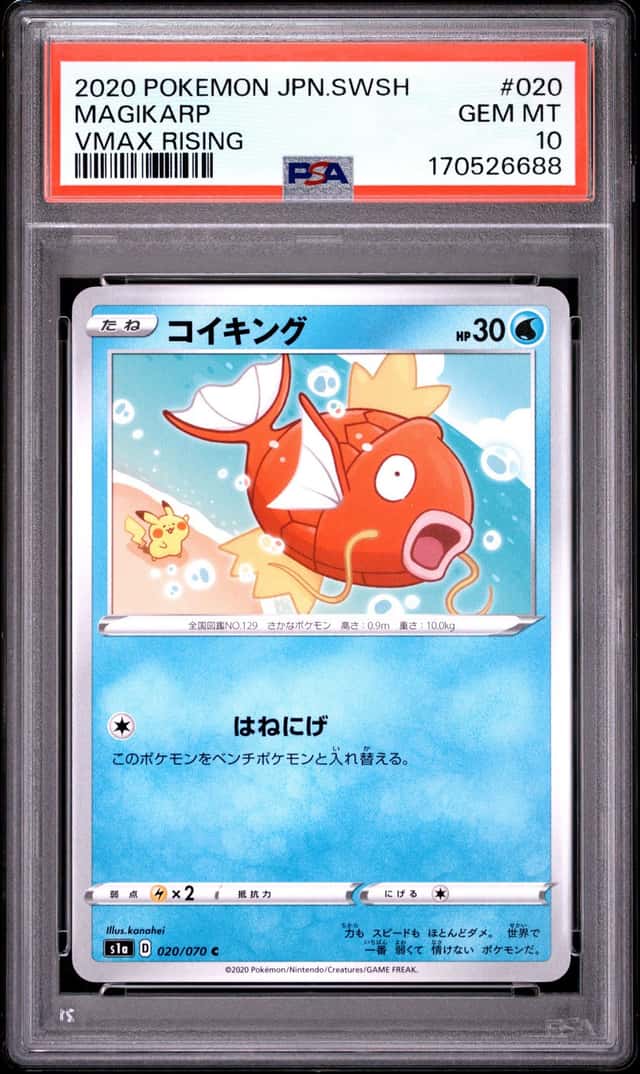 Magikarp