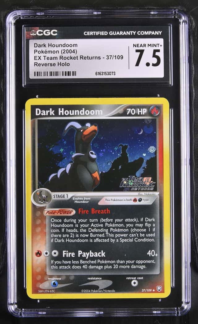 DARK HOUNDoom